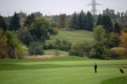  A golfer stares down the 18th green at the 2016 City Championships