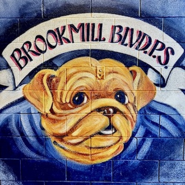 Brookmill Boulevard Junior Public School Photo