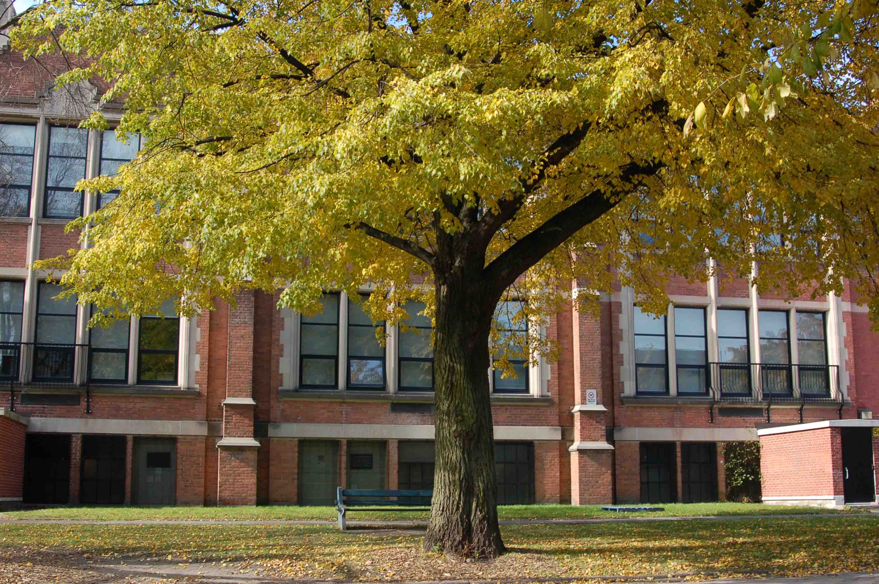 Parkdale Collegiate Institute Photo