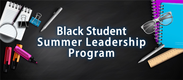 CEBSA Summer Leadership Program