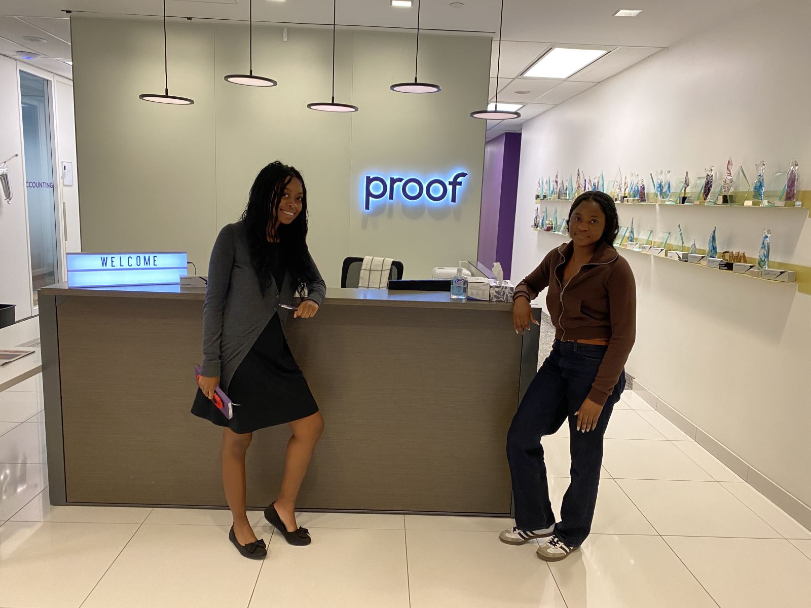 Llea and Animi at Proof Strategies