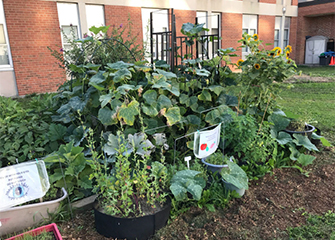 Large garden