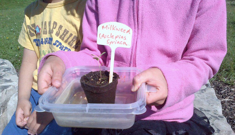 Picture of students growing seedlings of indigenous plants for their school garden