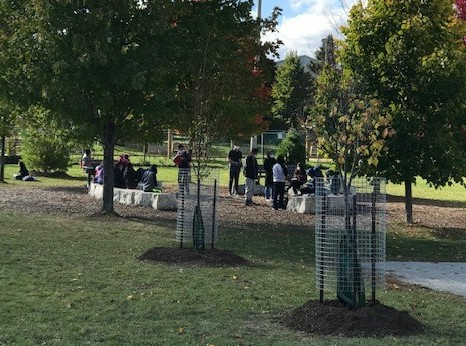 new trees added amongst mature trees