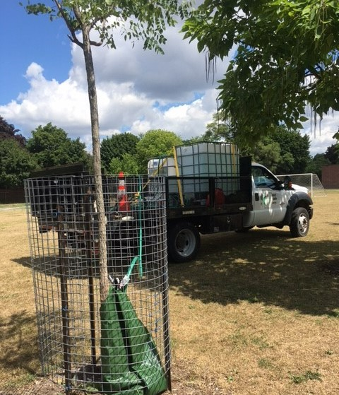 water truck filling water bags