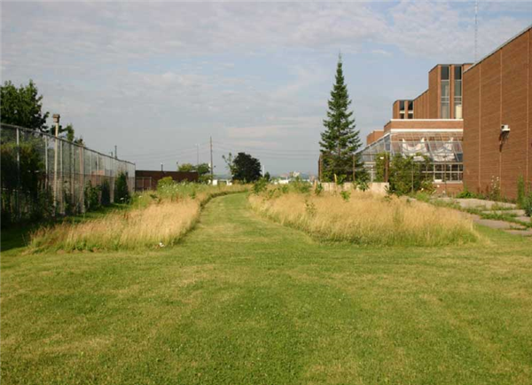 no mow area