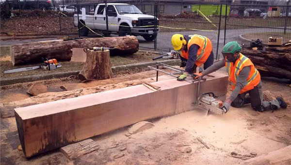 squaring off a log into timber