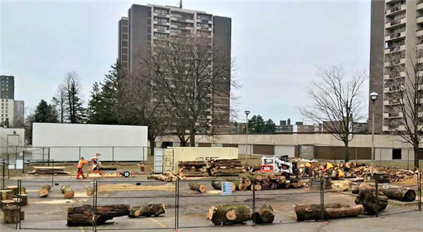 saw mill facilities
