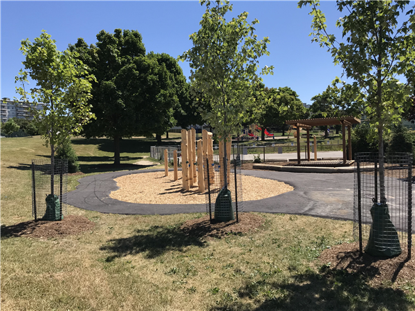 new trees and wood structures
