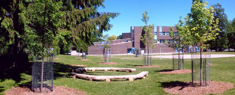 circle of log benches