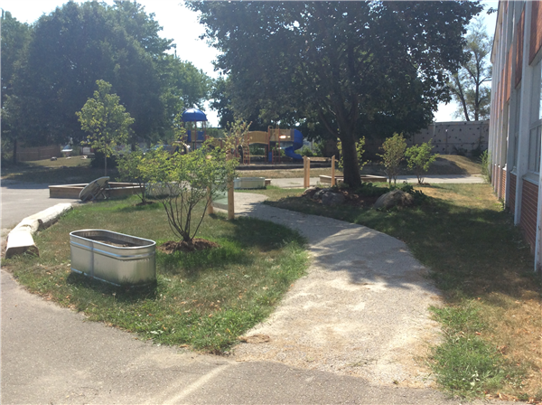 paths around trees and planters