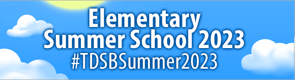Banner of Elementry Summer School 2023