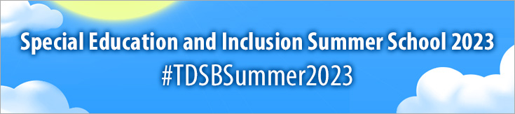 Special Education and Inclusion Summer Program