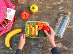 A healthy lunchbox consisting of sandwiches, fruits, and vegetables