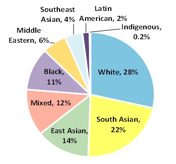 This pie chart shows overall student demographics in the TDSB, White 28%, South Asian 22%, East Asian 14%, Mixed 12%, Black 11%, Middle Eastern 6%, Southeast Asian 4%, Latin American 2%, Indigenous 0.2%