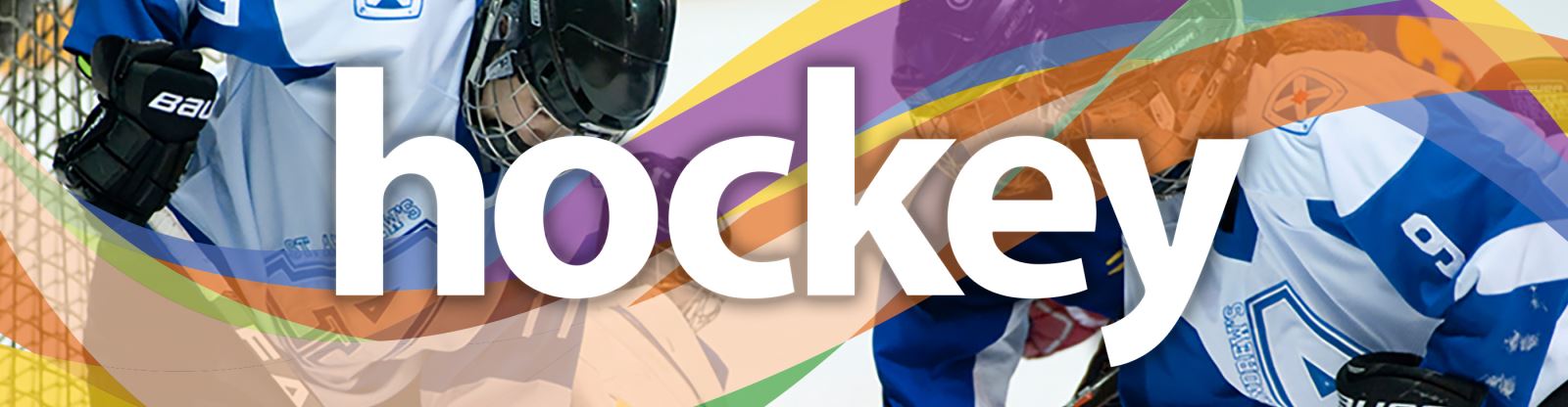 TDSSAA Boys' Hockey Banner